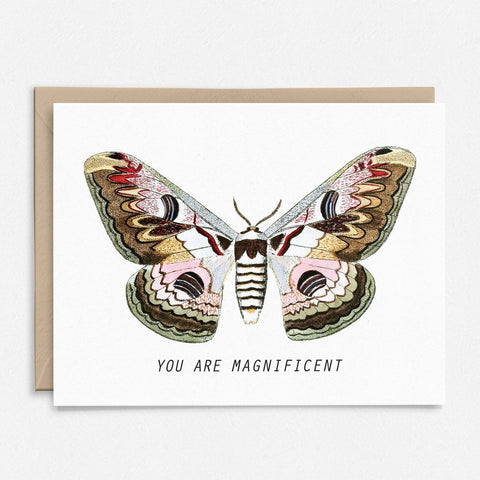 You Are Magnificent | Moth Thank You Card | Butterfly