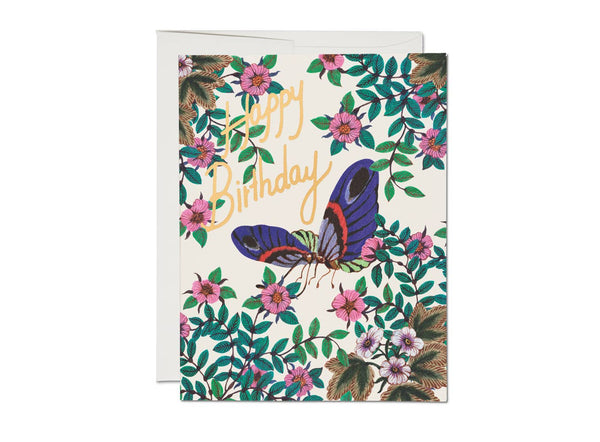 Delicate Butterfly birthday greeting card