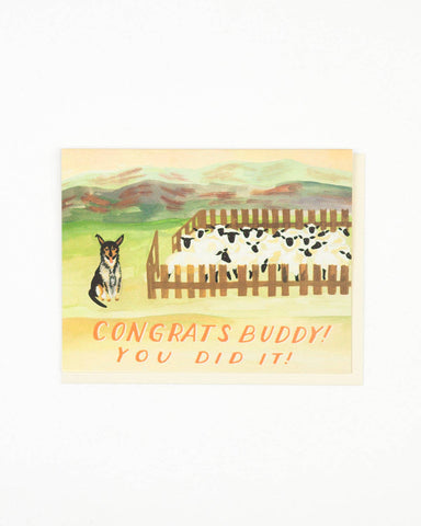 Sheep Dog Congratulations Card