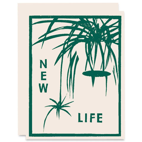 Spider Plant New Baby Card