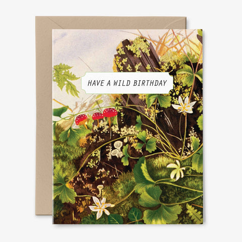Have A Wild Birthday | Mushroom  Card | Vintage Art: No Plastic Sleeves (Cards and Envelopes only)