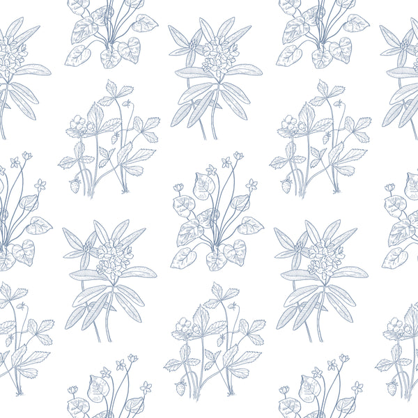 Meadow Flowers Blue Wallpaper