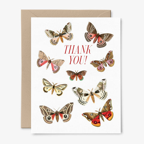 Thank You! Card | Moth | Butterfly | Vintage art
